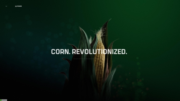Pioneer – corn revolutionized all winners 3d