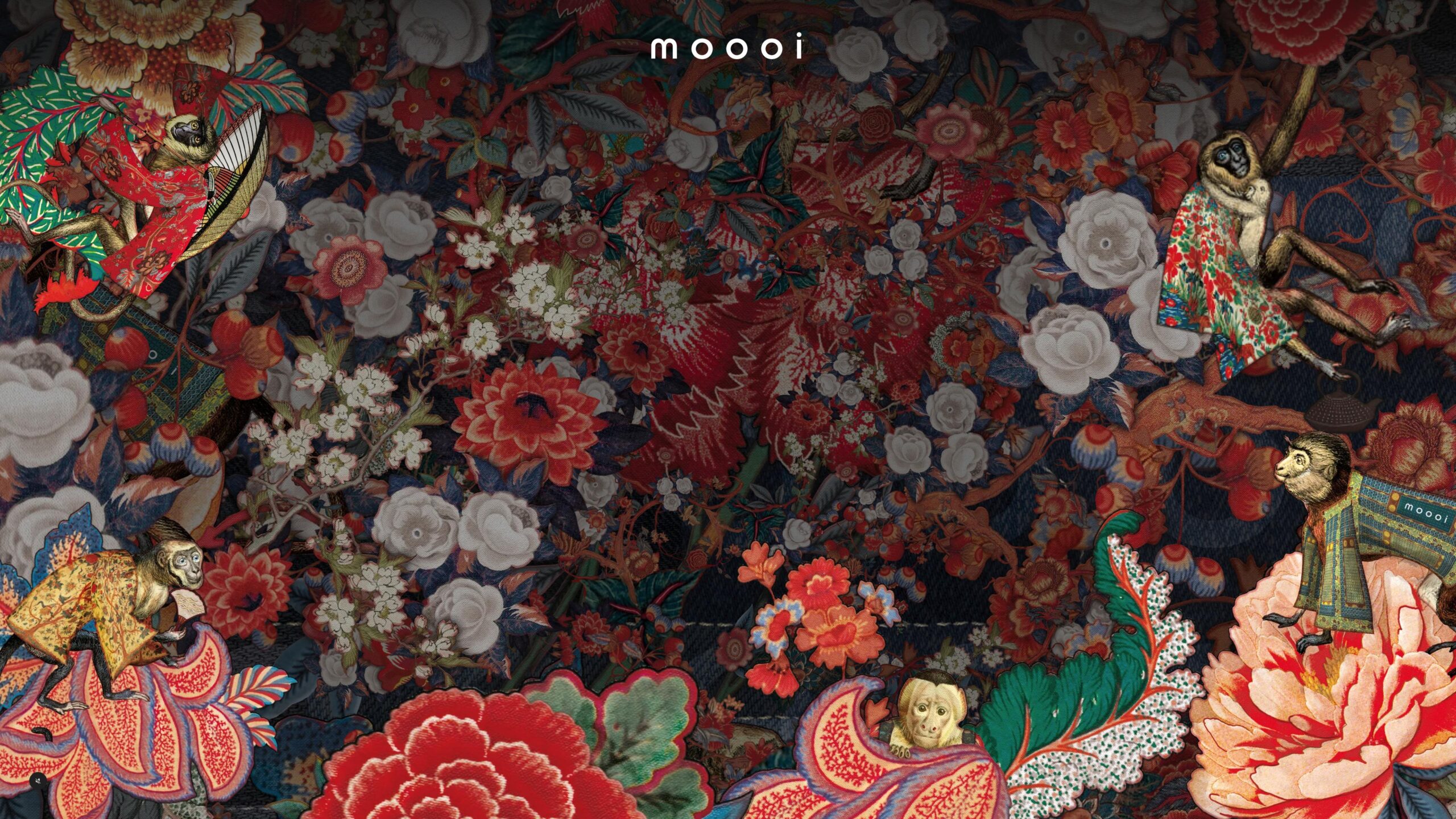 Moooi – a life extraordinary owda animation