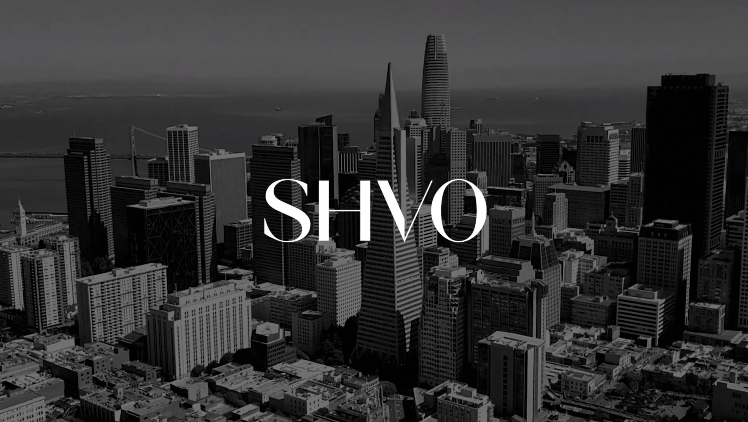 Shvo business & corporate clean