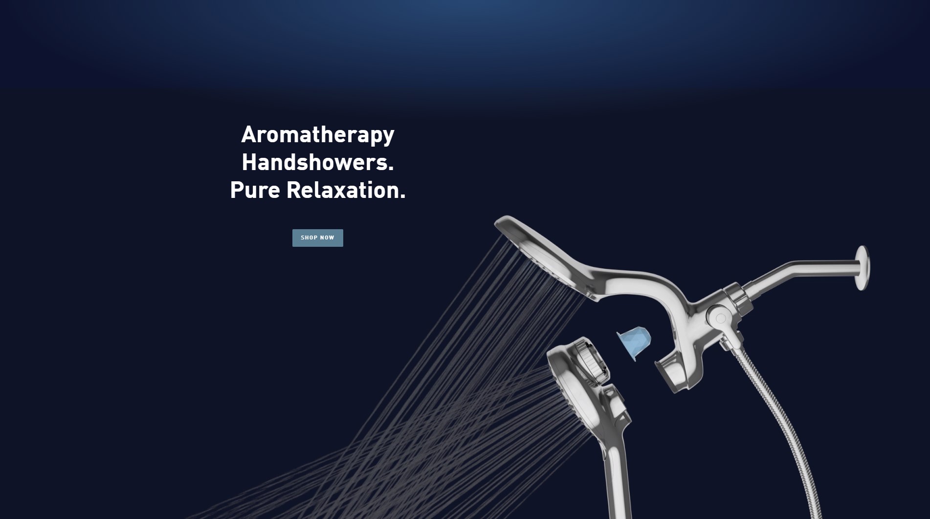 Moen aromatherapy handshowers e-commerce web & interactive