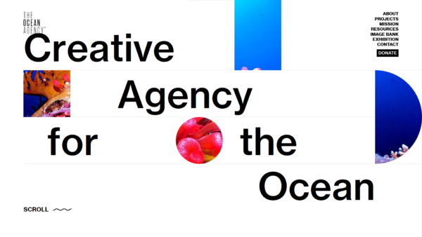 The Ocean Agency - Web Design Awards Web Design Inspiration