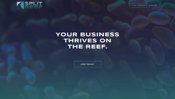 Split Reef - Web Design Awards Web Design Inspiration
