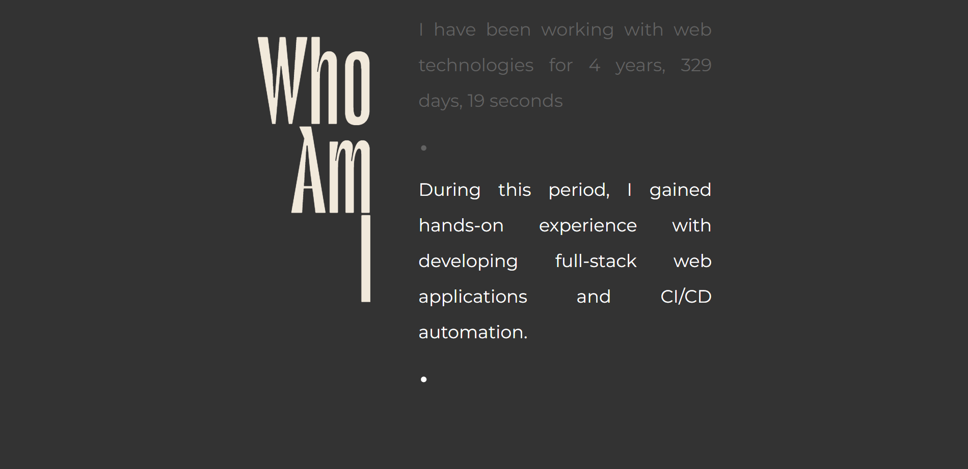 Omid’s personal website Portfolio Animation