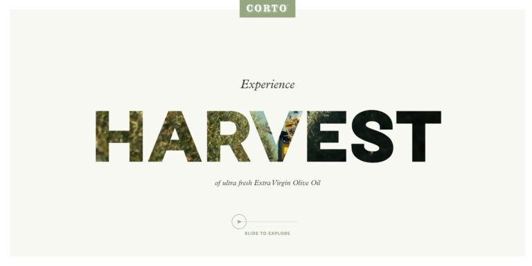 Fall harvest: corto olive oil