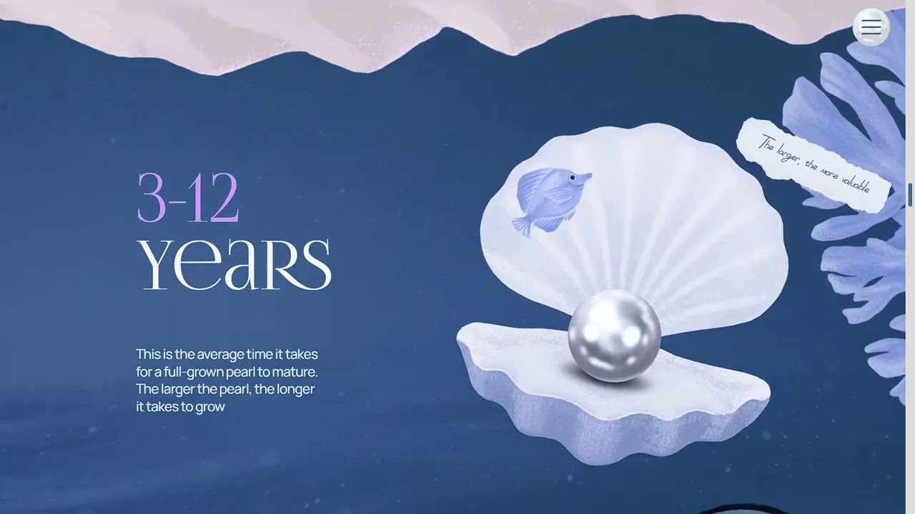 Pearls — sea & river treasures Culture & Education 404 pages