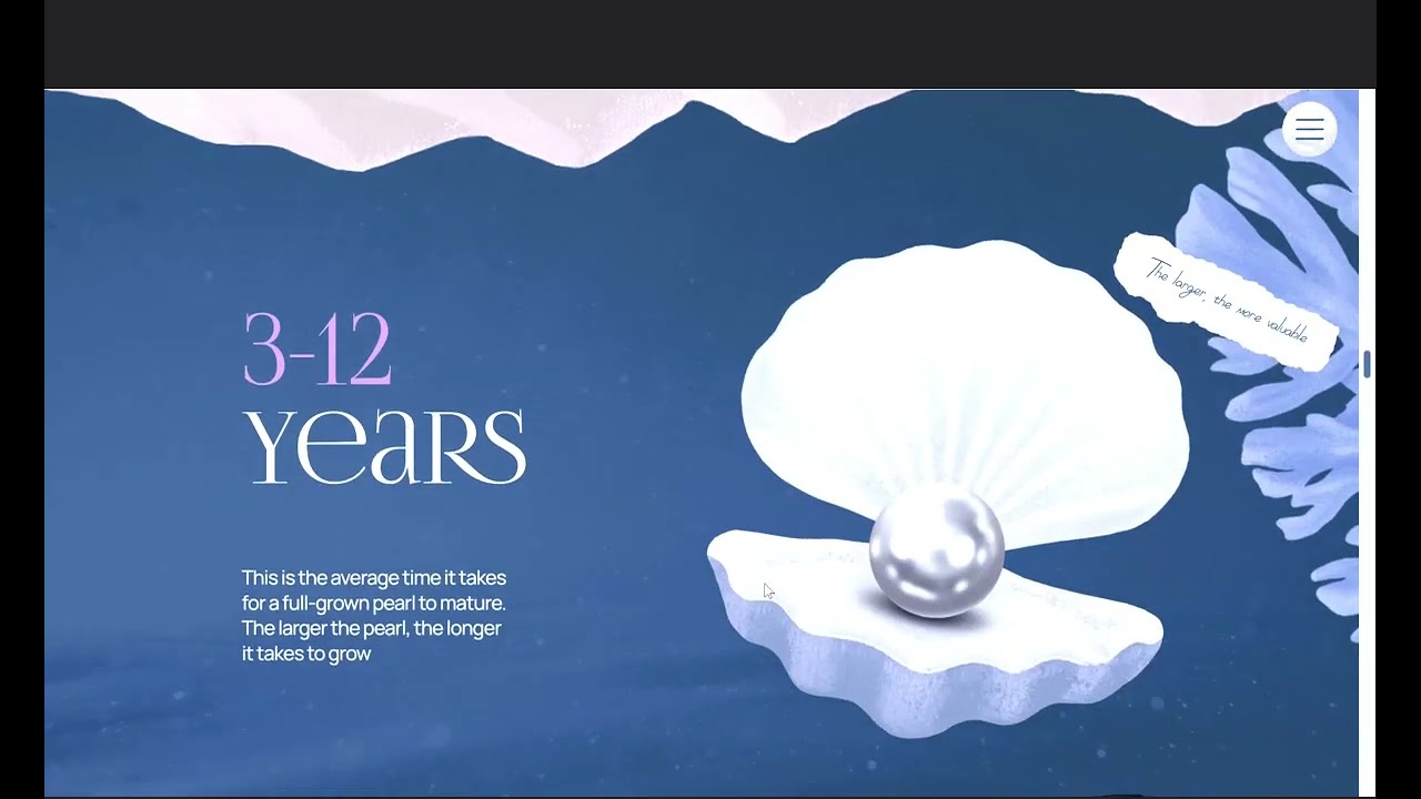Pearls — sea & river treasures Culture & Education 404 pages