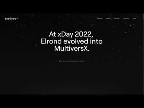 MULTIVERSX Technology 404 pages